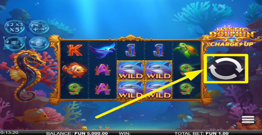 Mystic Dolphin Charge Up Spin