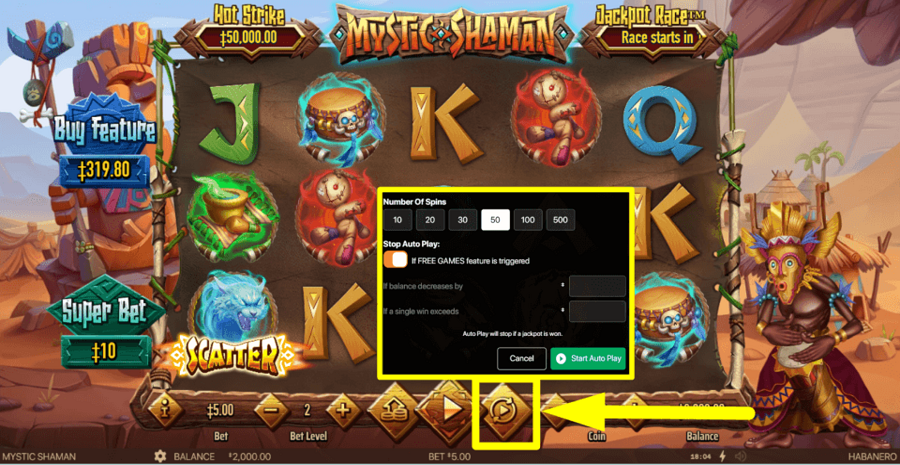 Mystic Shaman Autoplay Feature