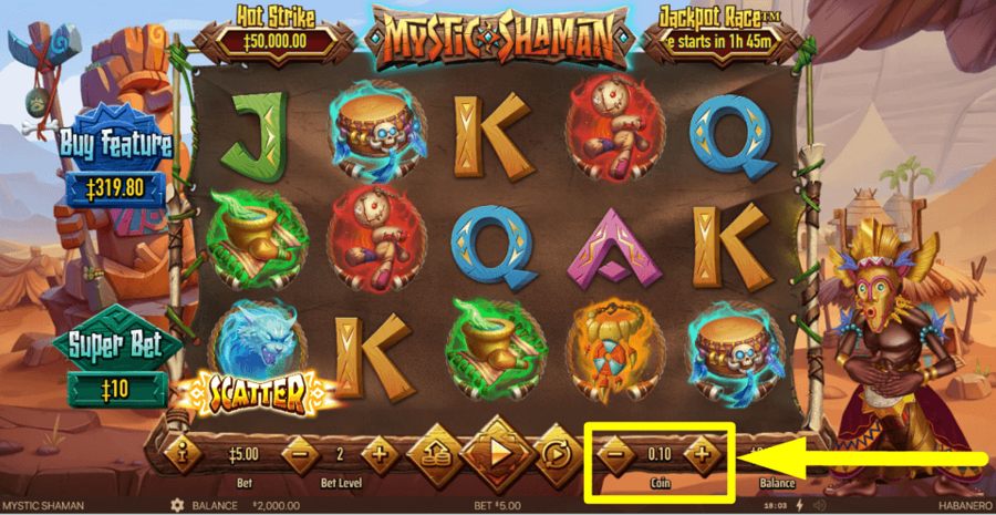 Mystic Shaman Coin Value