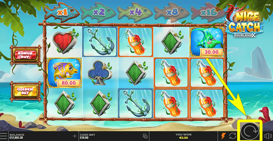 Nice Catch Doublemax Spin