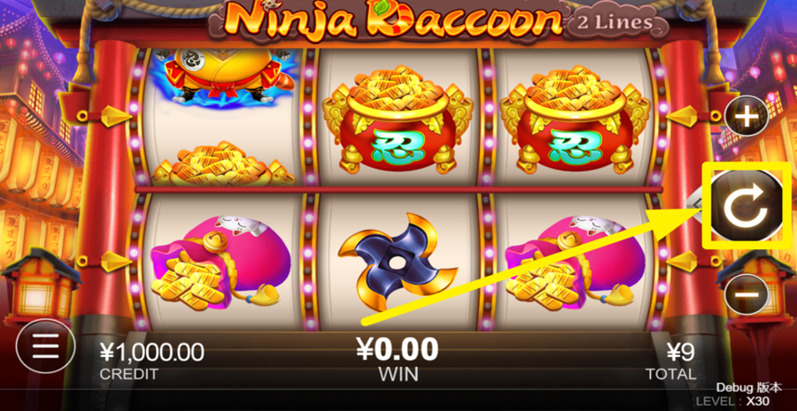 Ninja Raccoon Spin