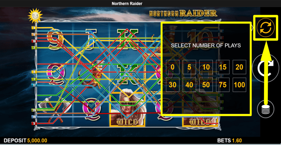Northern Raider Autoplay Feature