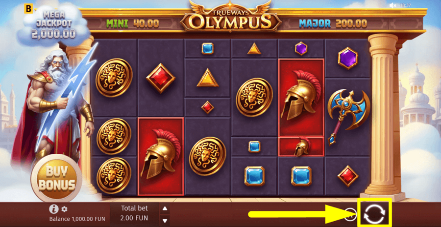 Olympus Trueways Spin Button