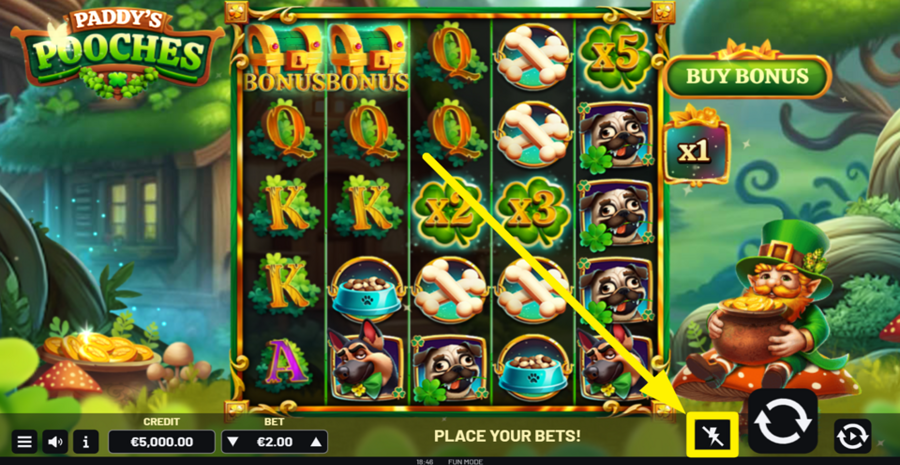 Paddys Pooches Turbo