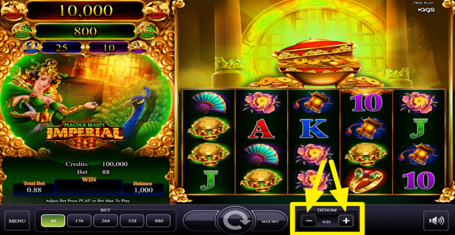 Peacock Beauty Coin Adjust