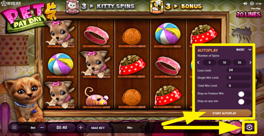 Pets Pay Day Autoplay