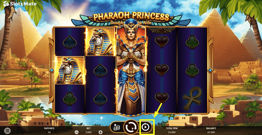Pharaoh Princess 4