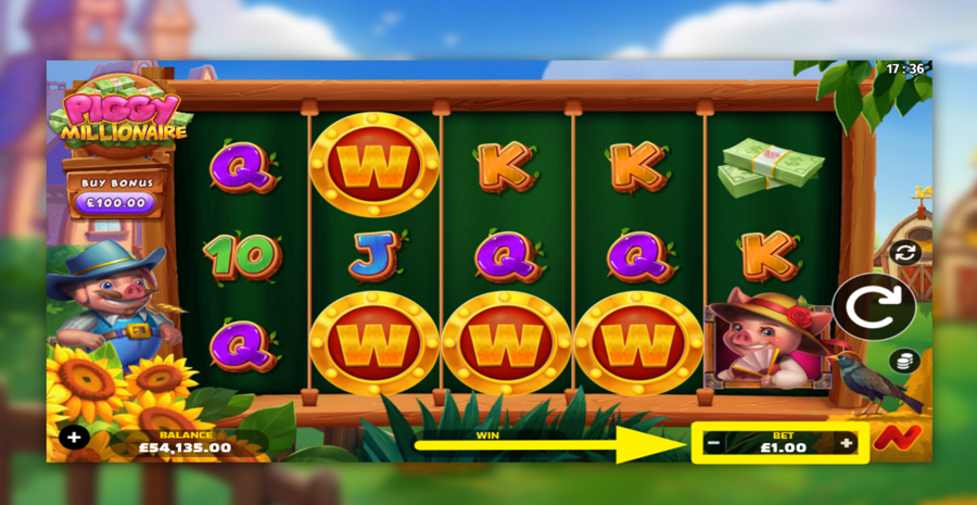 Piggy Millionaire Adjust Bet