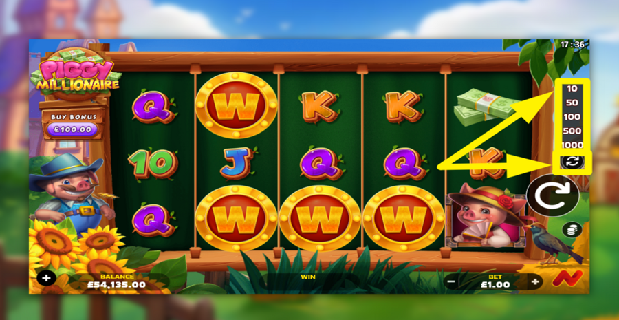Piggy Millionaire Autoplay
