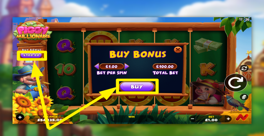 Piggy Millionaire Buy Bonus