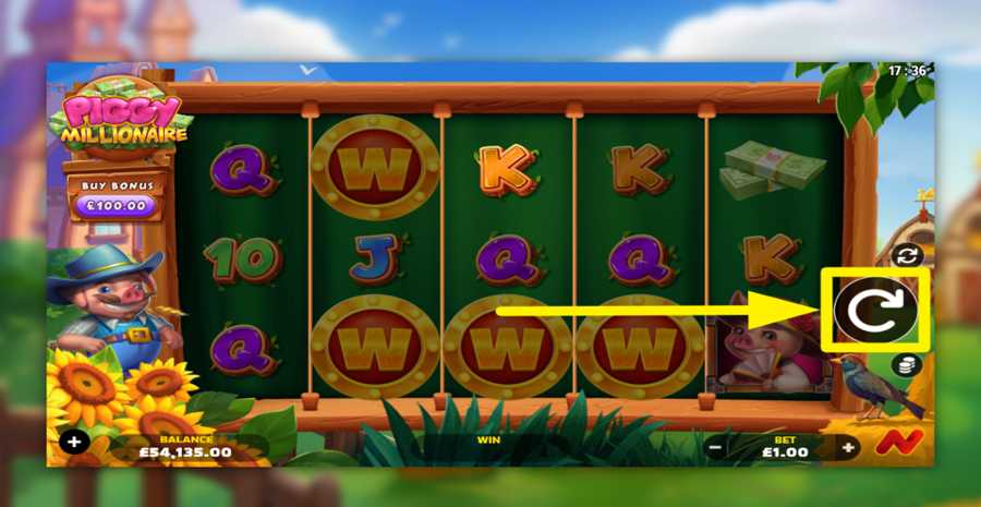 Piggy Millionaire Spin Button