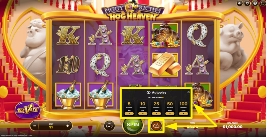Piggy Riches 3 Hog Heaven Autoplay
