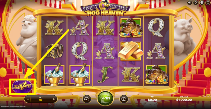 Piggy Riches 3 Hog Heaven Elevate