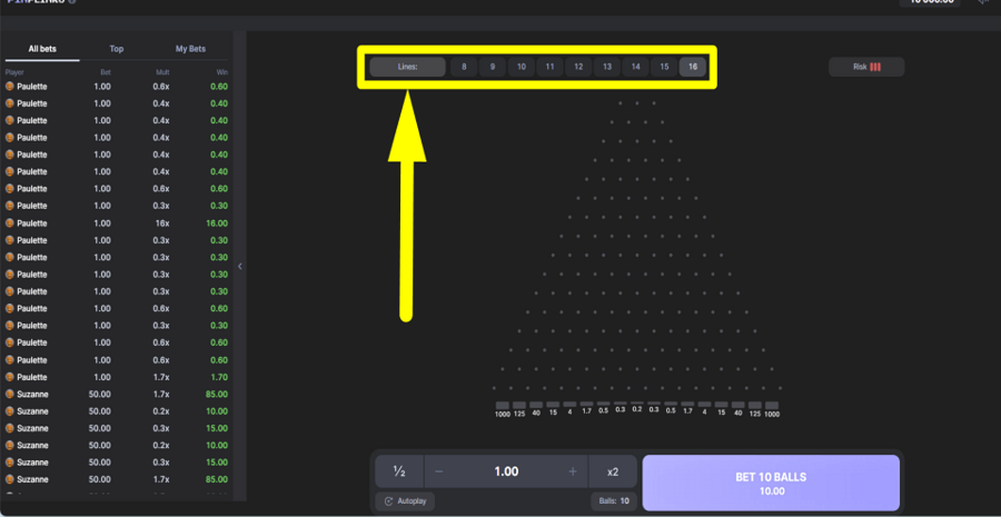 Pin Plinko Paylines Feature
