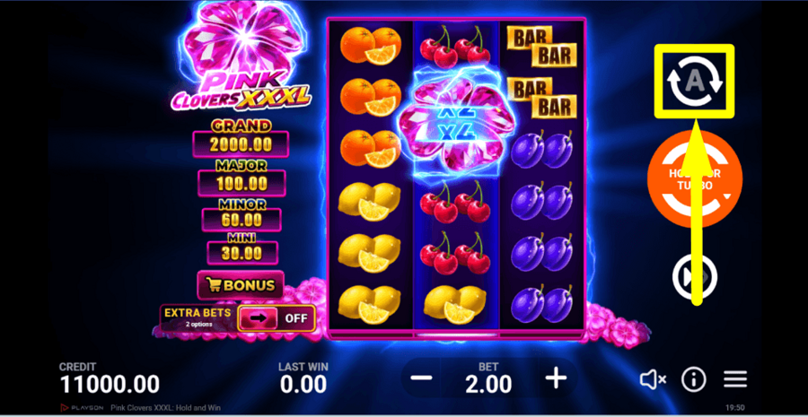 Pink Clovers Xxxl Hold And Win Autoplay Feature
