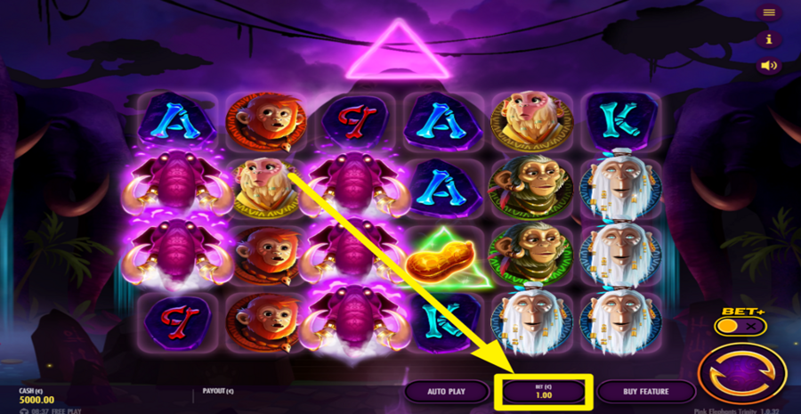 Pink Elephants Trinity Adjust Bet