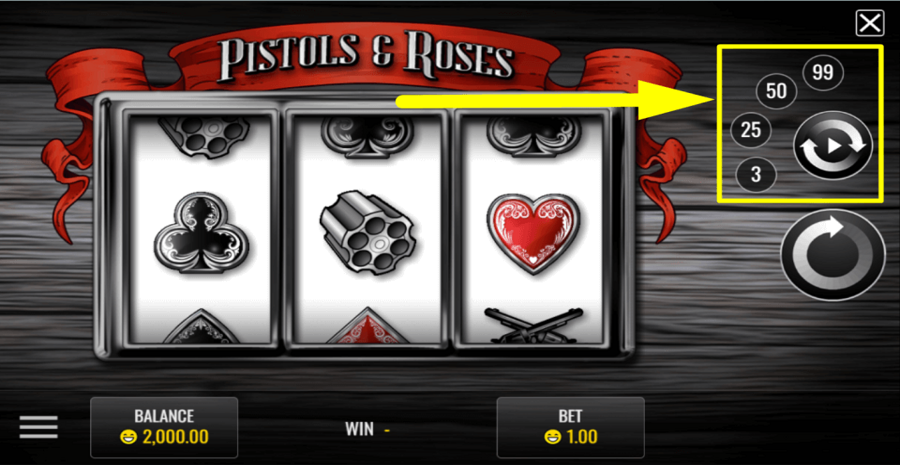 Pistols And Roses Autoplay Feature