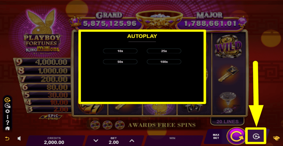 Playboy Fortunes King Millions Autoplay Feature