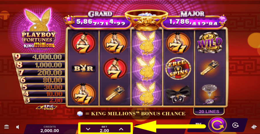 Playboy Fortunes King Millions Bet Value