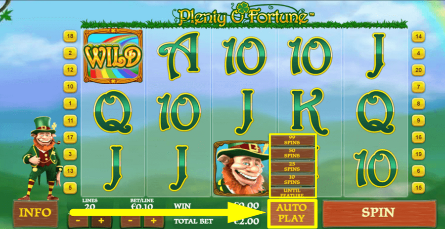 Plenty O Fortune Autoplay Feature