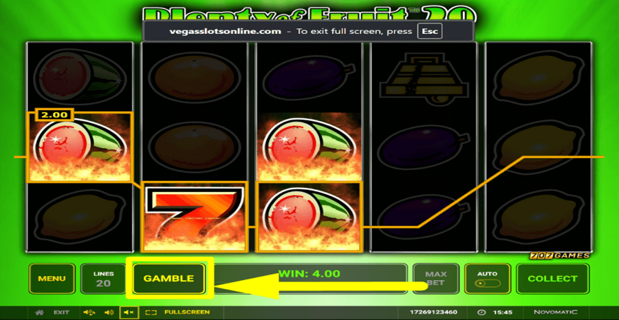 Plenty Of Fruit 20 Gamble Feature