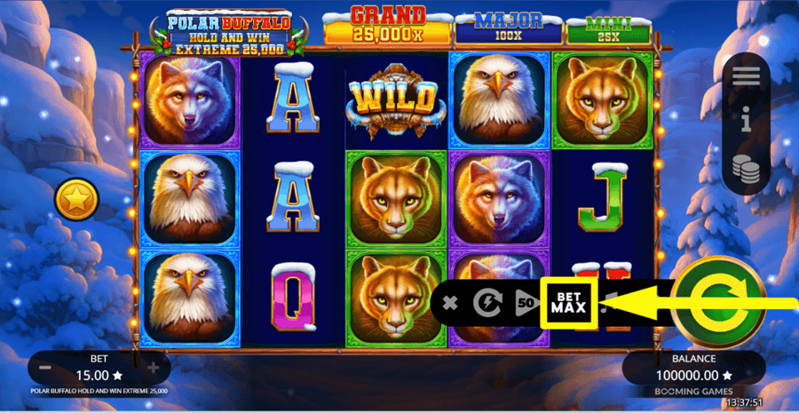 Polar Buffalo Extreme Hold And Win 25000 Bet Max Button