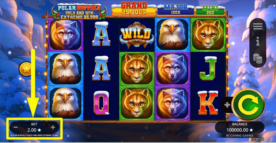 Polar Buffalo Extreme Hold And Win 25000 Bet Value