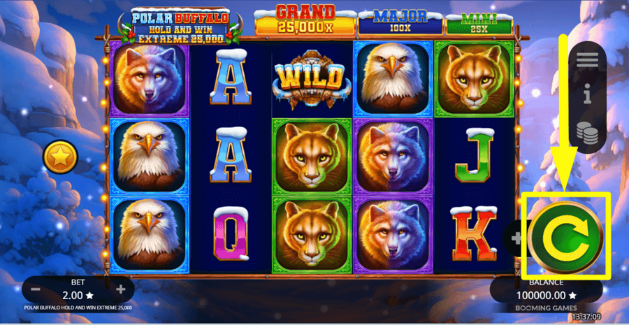 Polar Buffalo Extreme Hold And Win 25000 Spin Button