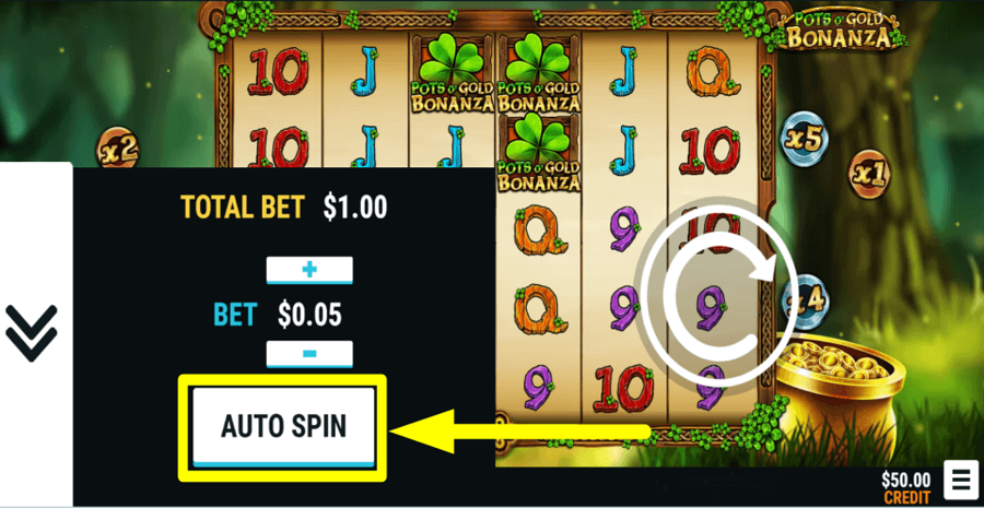 Pots O Gold Bonanza Autoplay Feature
