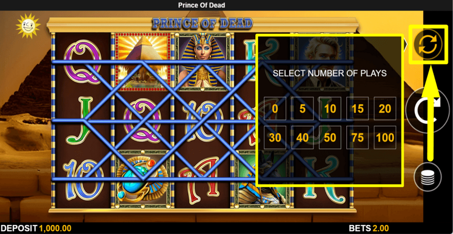 Prince Of Dead Autoplay Feature