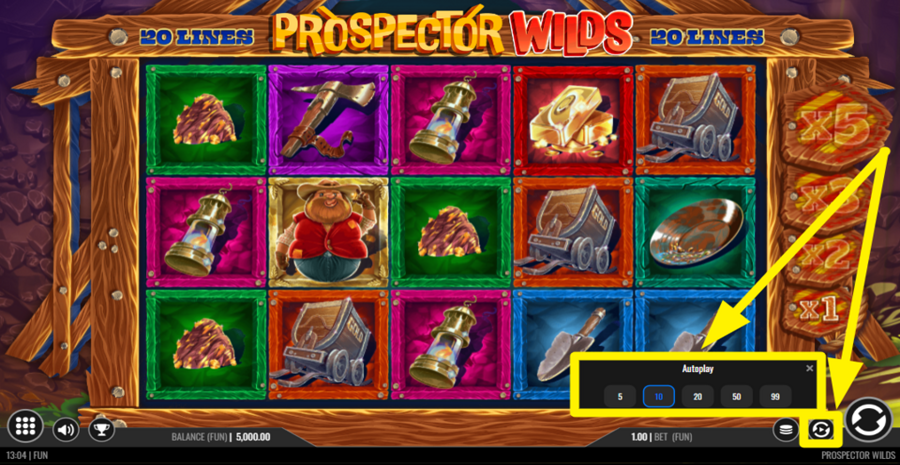 Prospector Wilds Autoplay