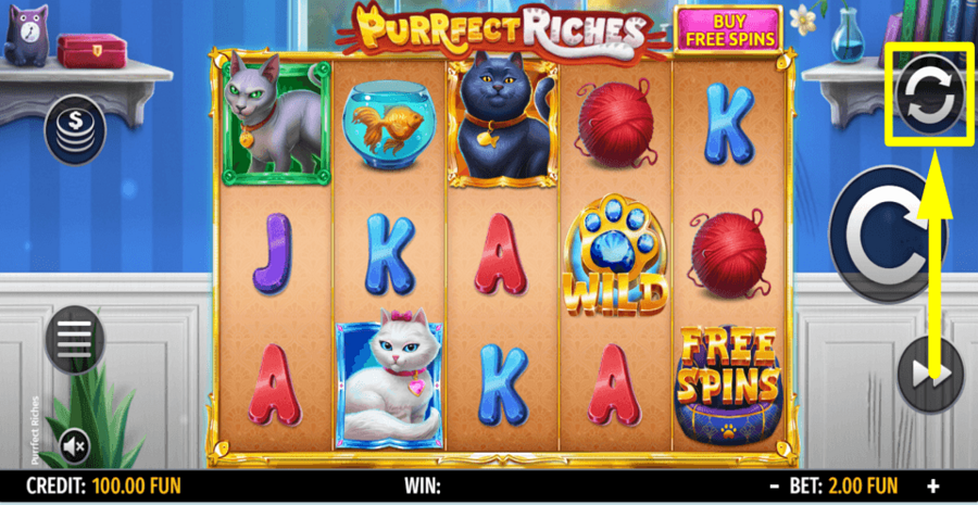 Purrfect Riches Autoplay Feature