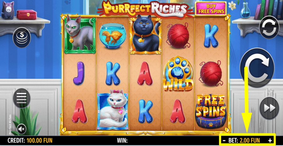 Purrfect Riches Bet Value