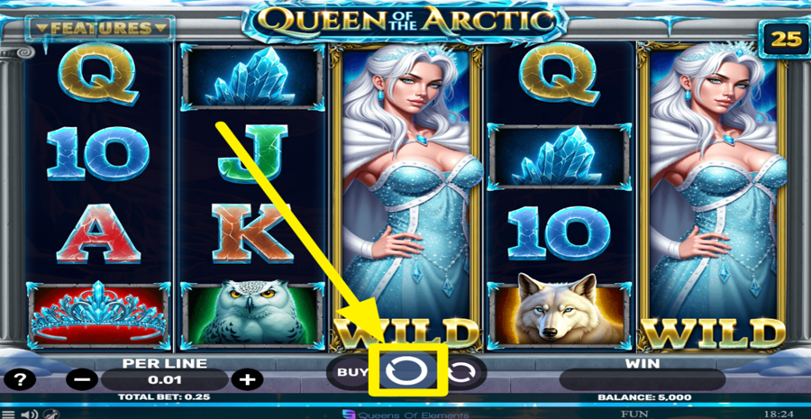 Queen Of The Arctic Spin