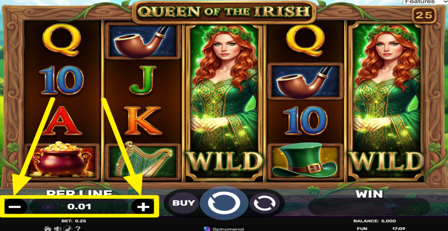 Queen Of The Irish Adjust Bet