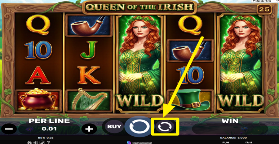 Queen Of The Irish Autoplay
