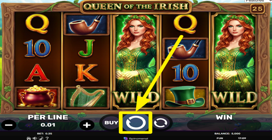 Queen Of The Irish Spin