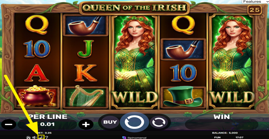 Queen Of The Irish Turbo