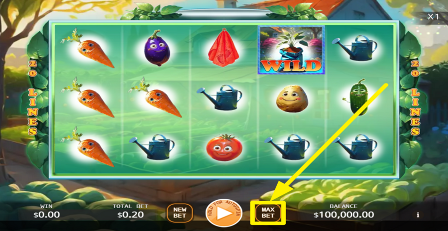 Quick Garden Max Bet