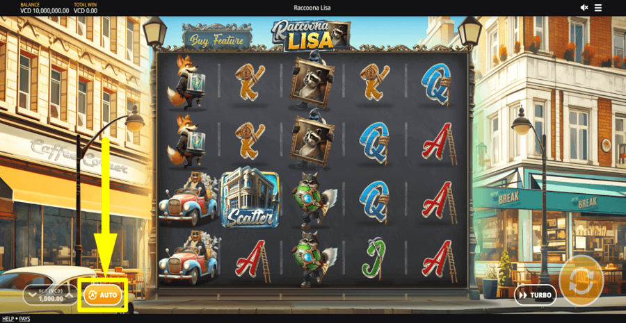 Raccoona Lisa Autoplay Feature