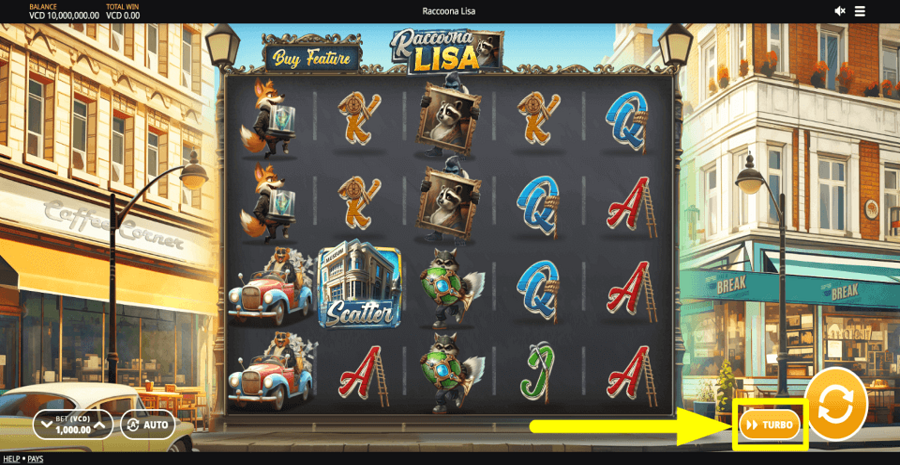 Raccoona Lisa Turbo Feature