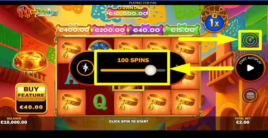 Richihuahua Autoplay Feature