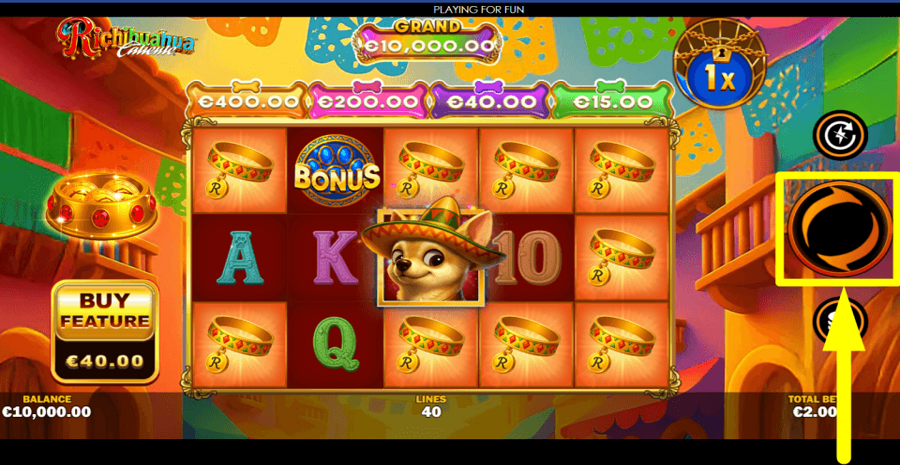 Richihuahua Spin Button