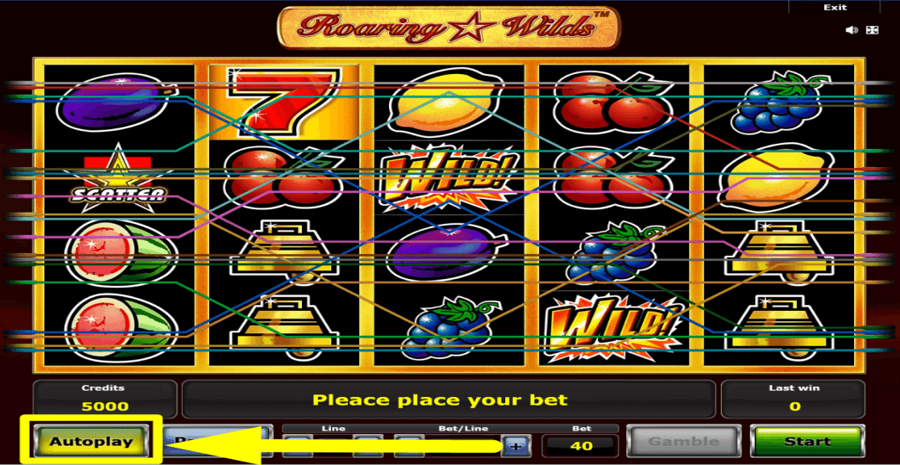 Roaring Wilds Autoplay Feature