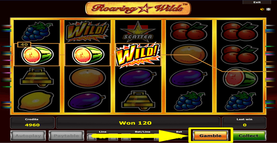 Roaring Wilds Gamble Feature