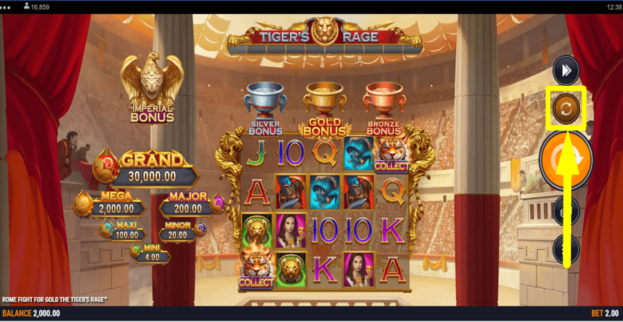 Rome Fight For Gold The Tigers Rage Autoplay Feature