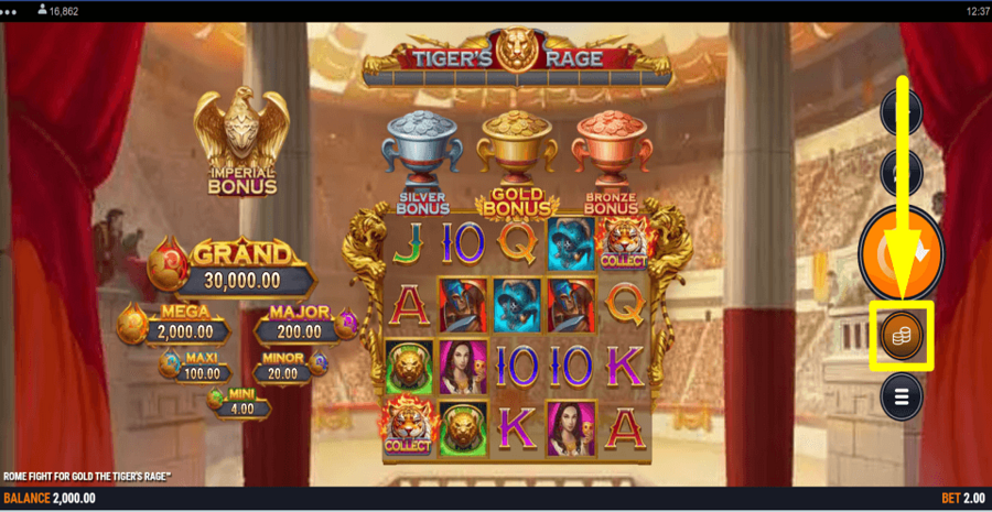 Rome Fight For Gold The Tigers Rage Bet Value
