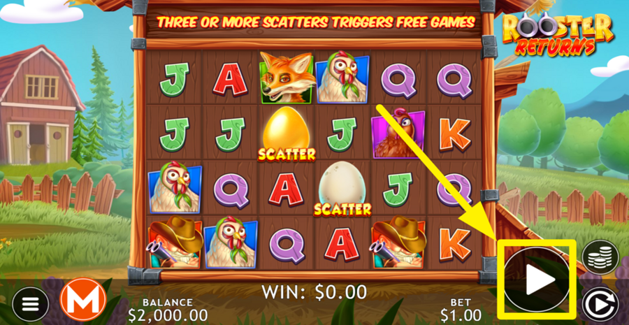 Rooster Returns Spin