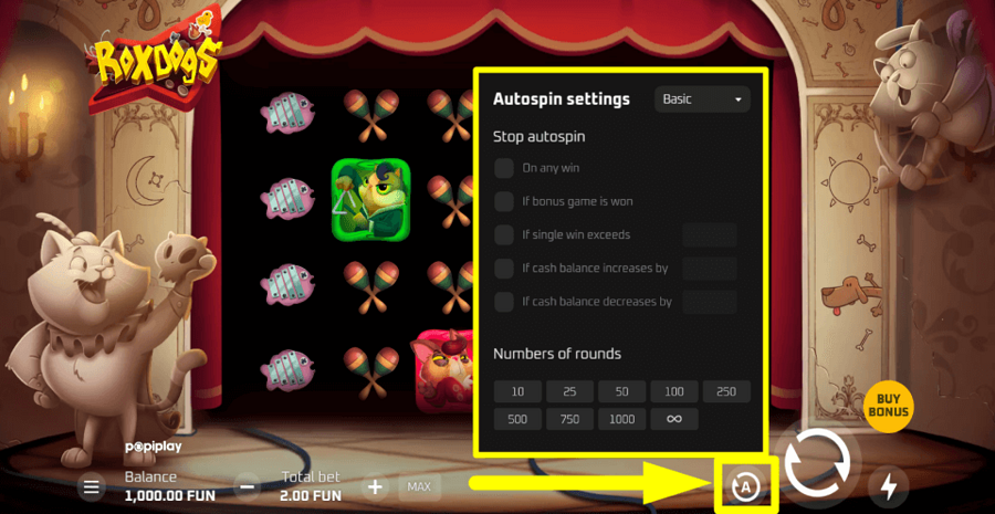 Roxdogs Autoplay Feature