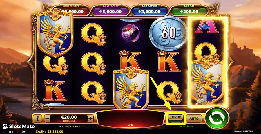 Royal Griffin 5